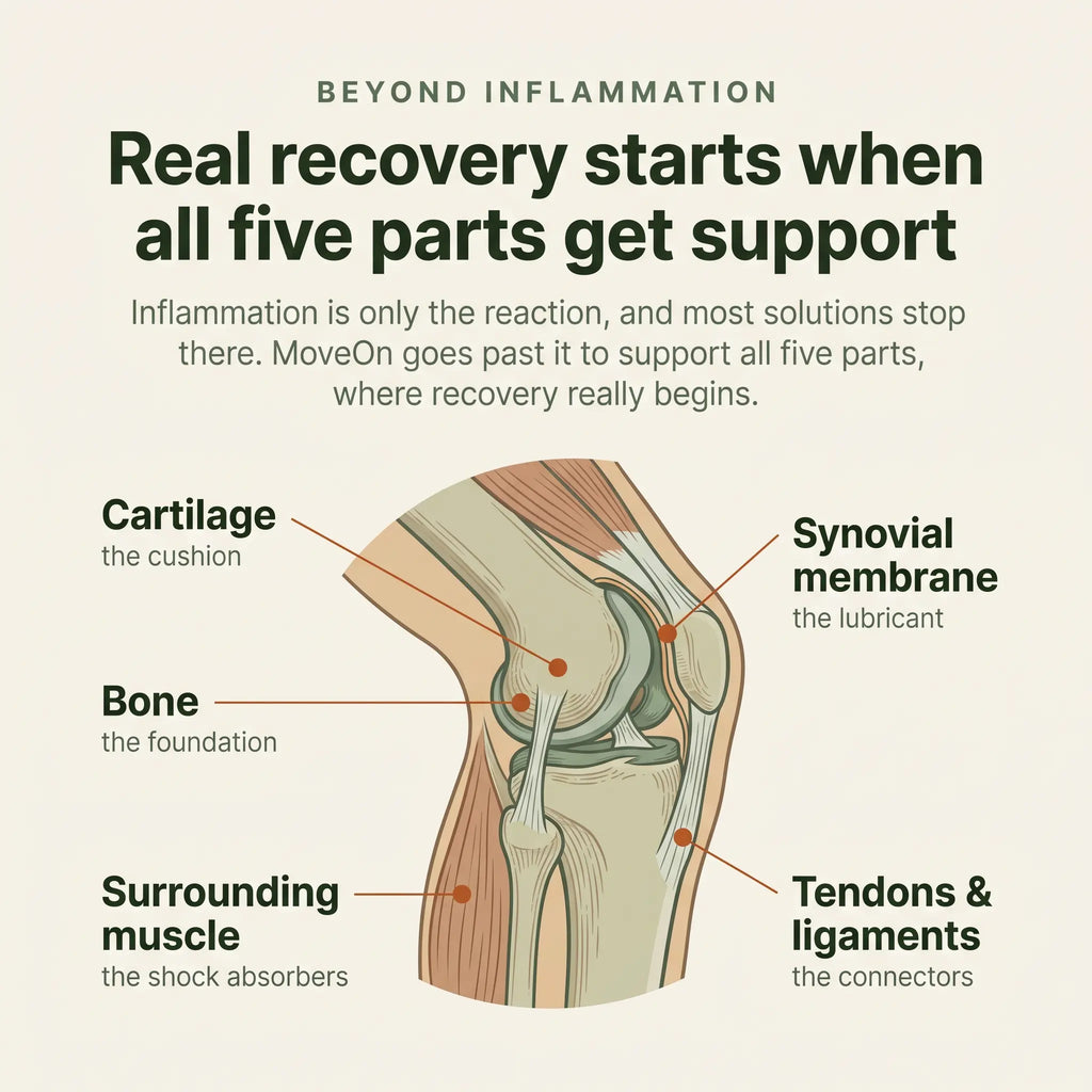 Moveon™