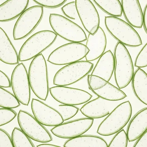 Aloe vera